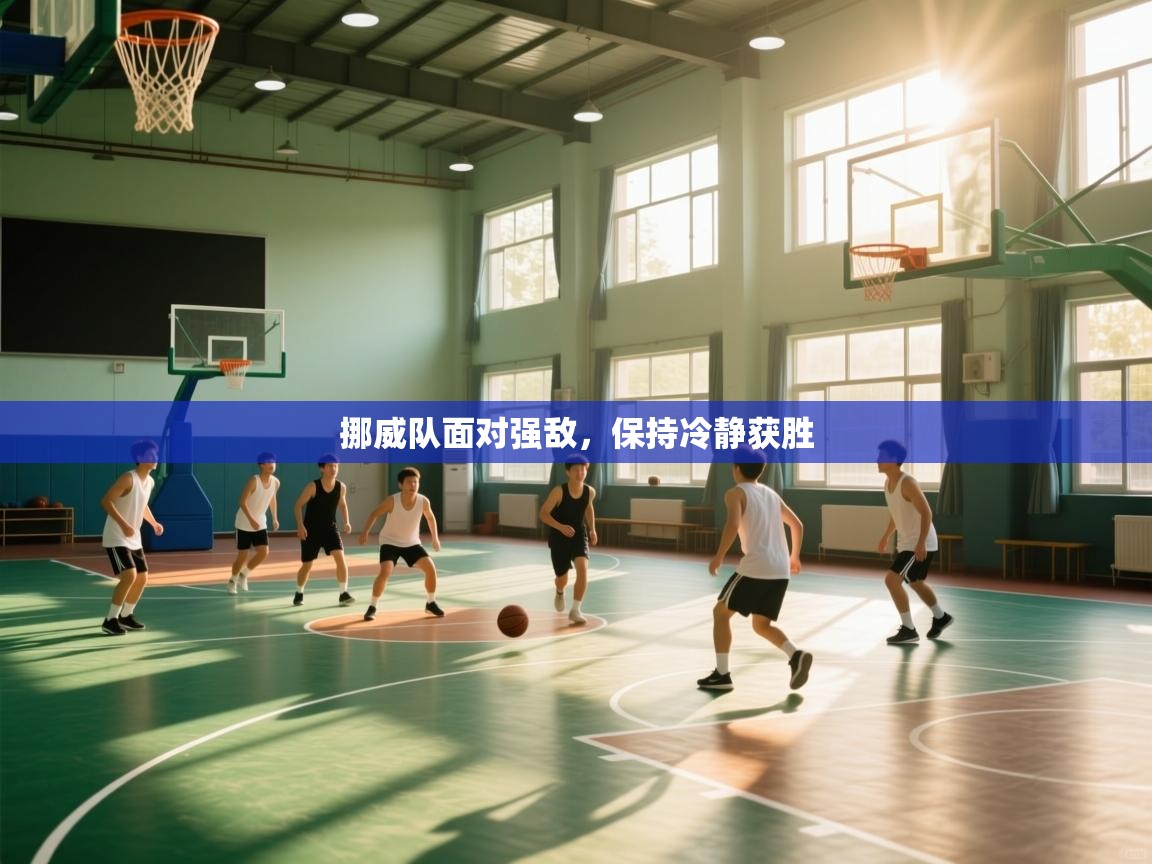 挪威队面对强敌，保持冷静获胜  第1张