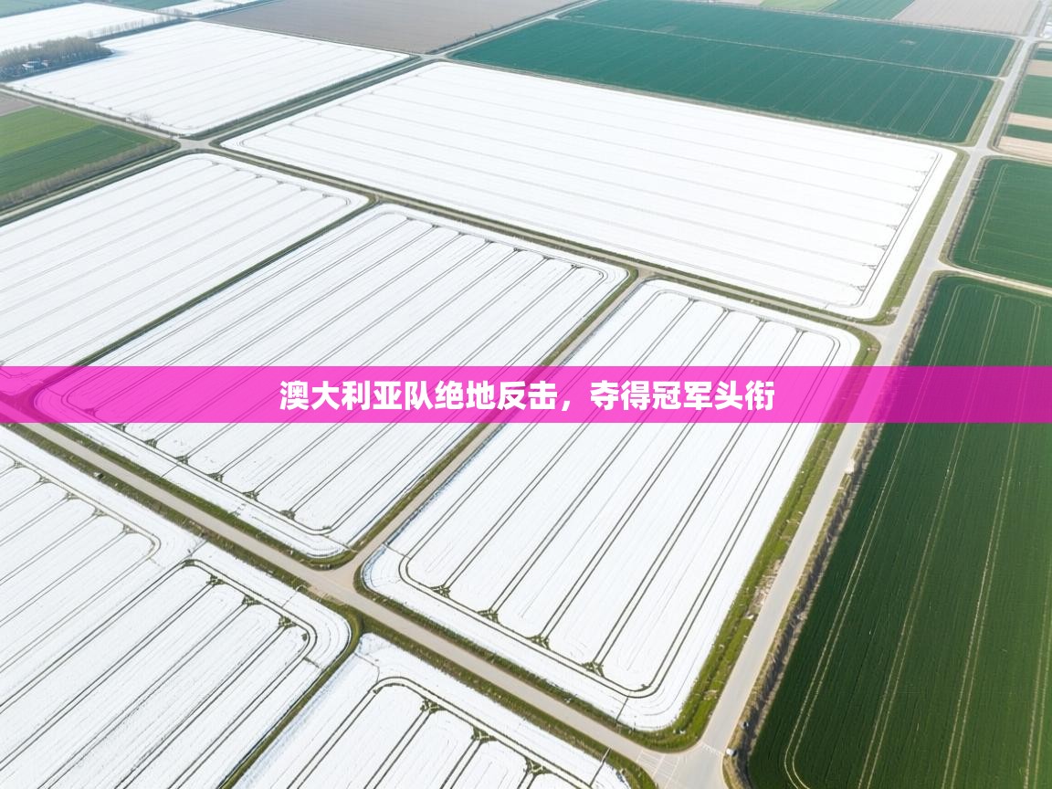 澳大利亚队绝地反击，夺得冠军头衔  第1张